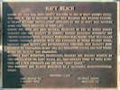 Full Size Image