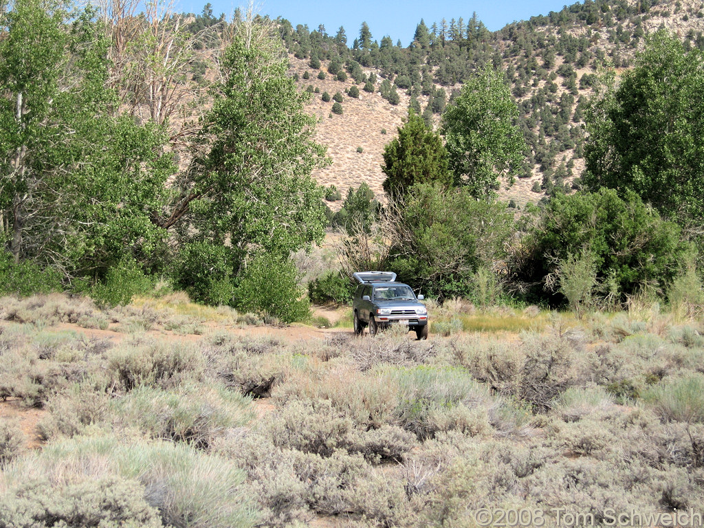 California, Mono County, Bohler Canyon