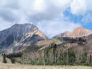 Full Size Image