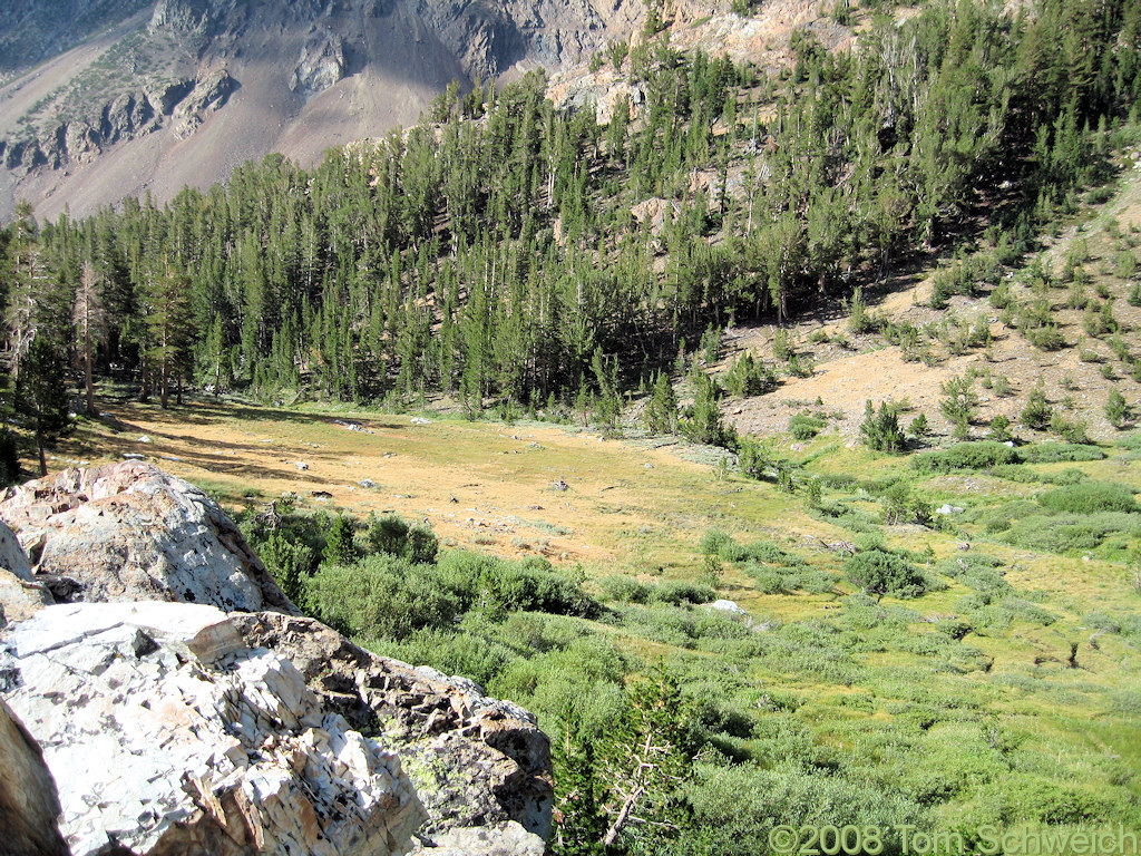 California, Mono County, Warren Canyon