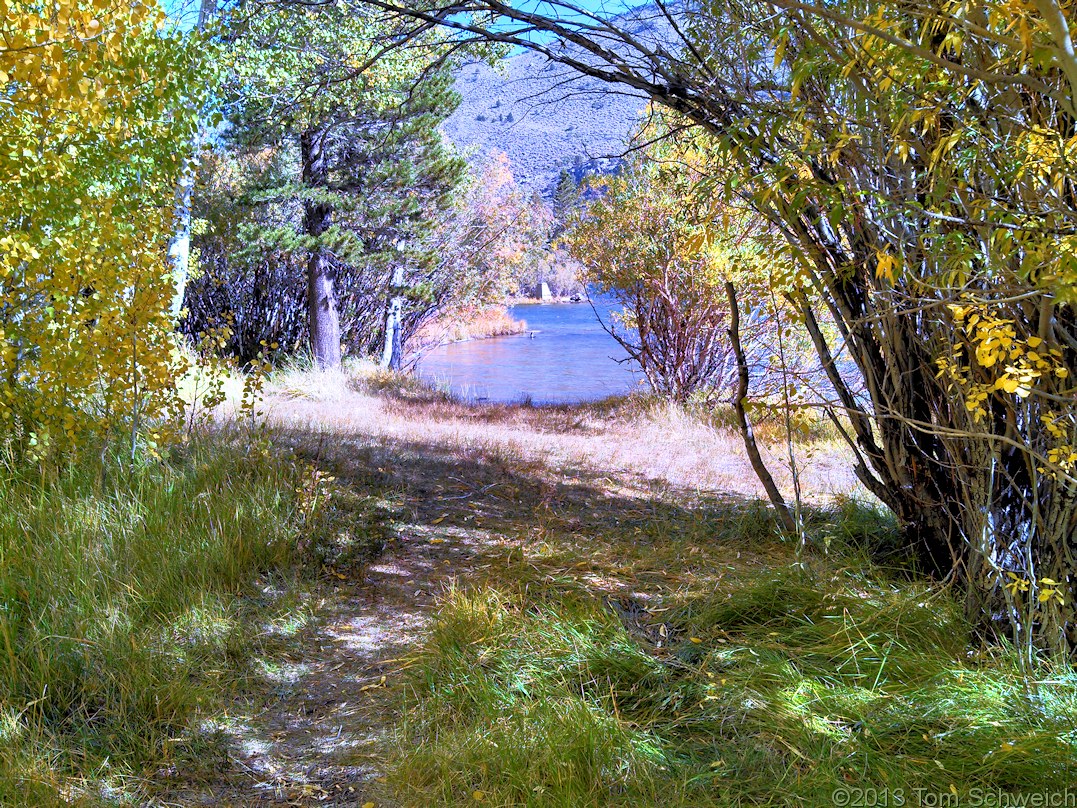 California, Mono County, Silver Lake