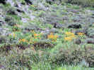 Full Size Image