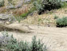 Full Size Image