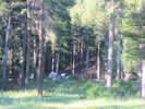Full Size Image