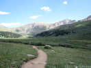 Full Size Image