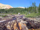Full Size Image