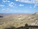 Full Size Image