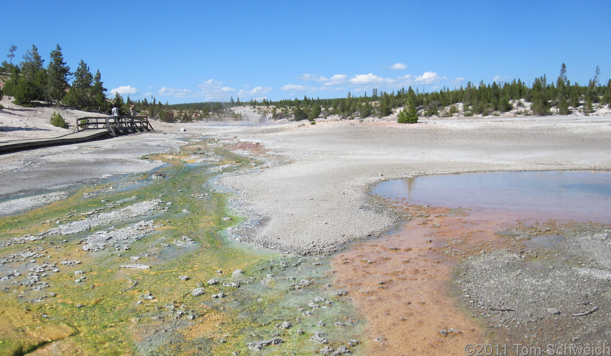 Wyoming, Park County, Norris Geyser Basin