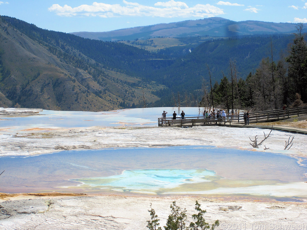 Wyoming, Park County, Mammoth Hot Springs
