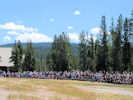 Full Size Image