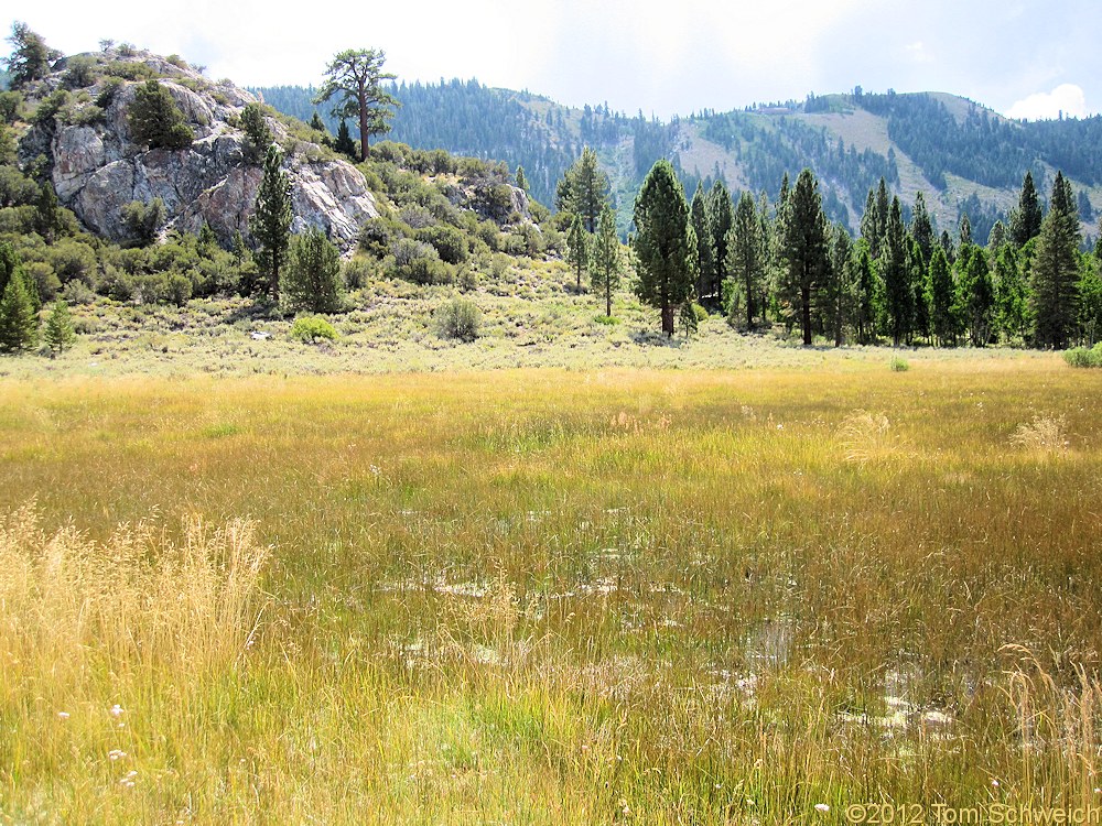 California, Mono County, Gull Lale