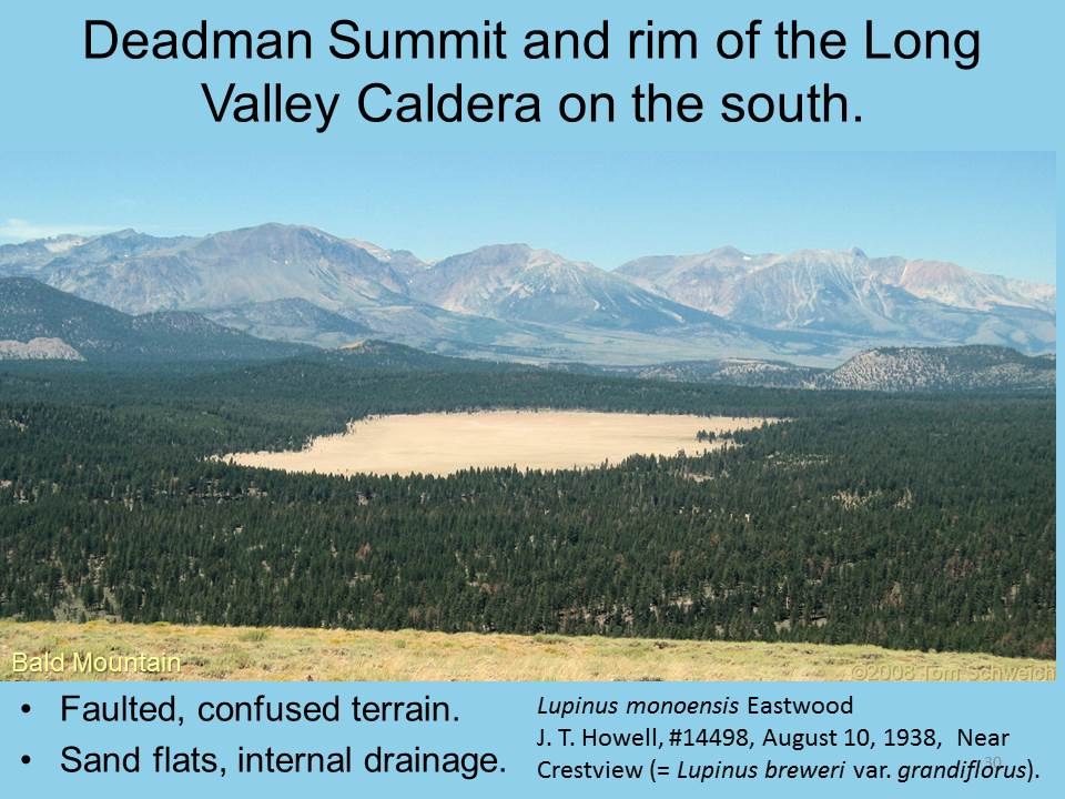 California, Mono County