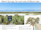 Full Size Image