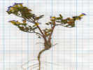 Full Size Image