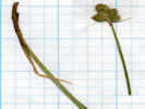 Full Size Image