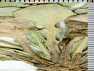 Full Size Image