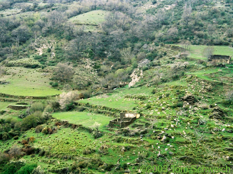 View across the Barranco