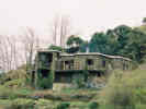 Full Size Image