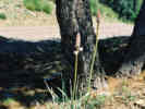 Full Size Image