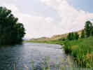Full Size Image