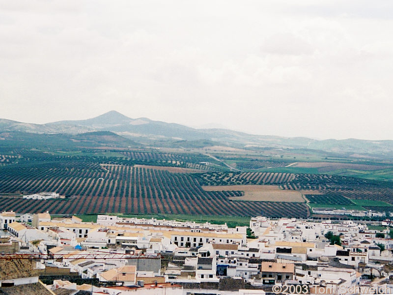 View of countryside south of Osuna