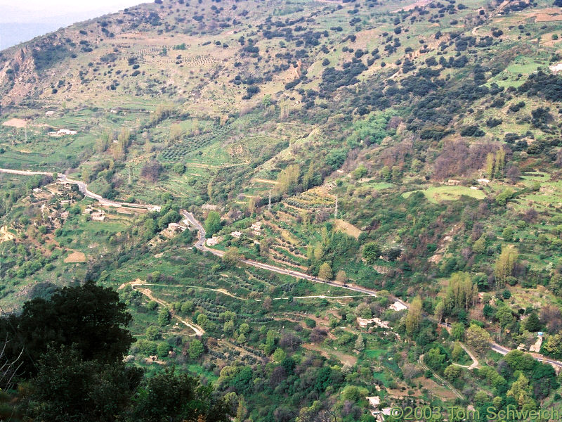 The road between Orgiva and Pampaneira