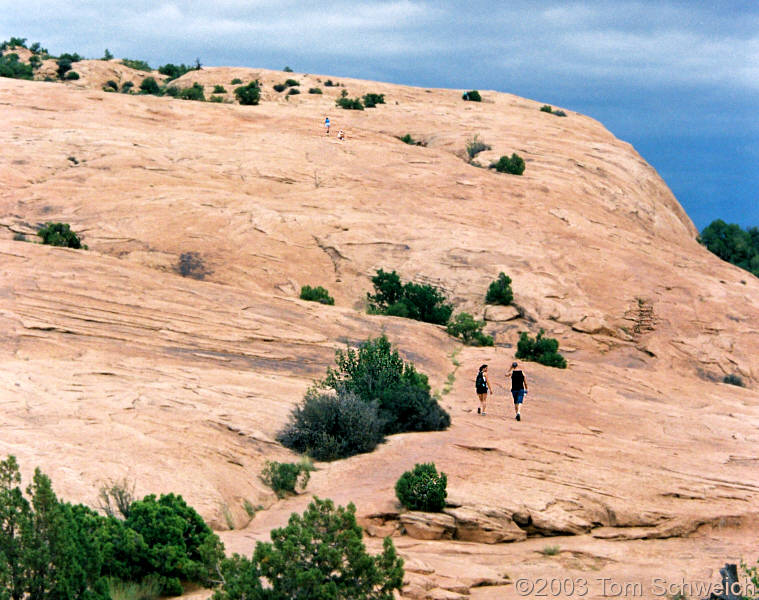 Trail to Delicate Arch