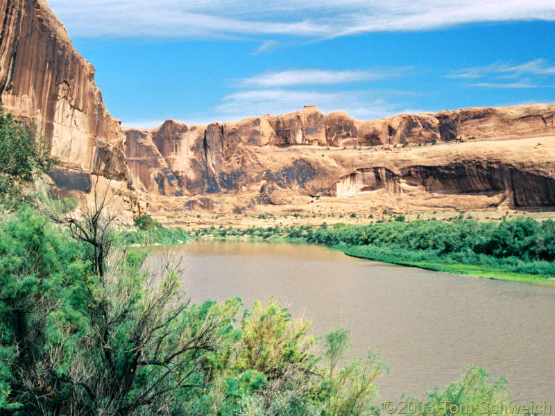 Colorado River upstream of Moab.