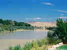 Full Size Image
