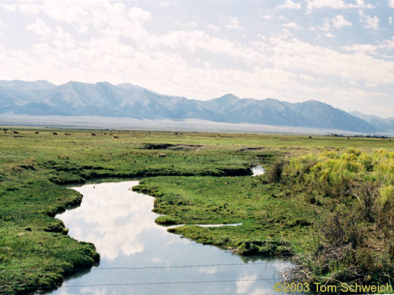 Reese River, looking south.