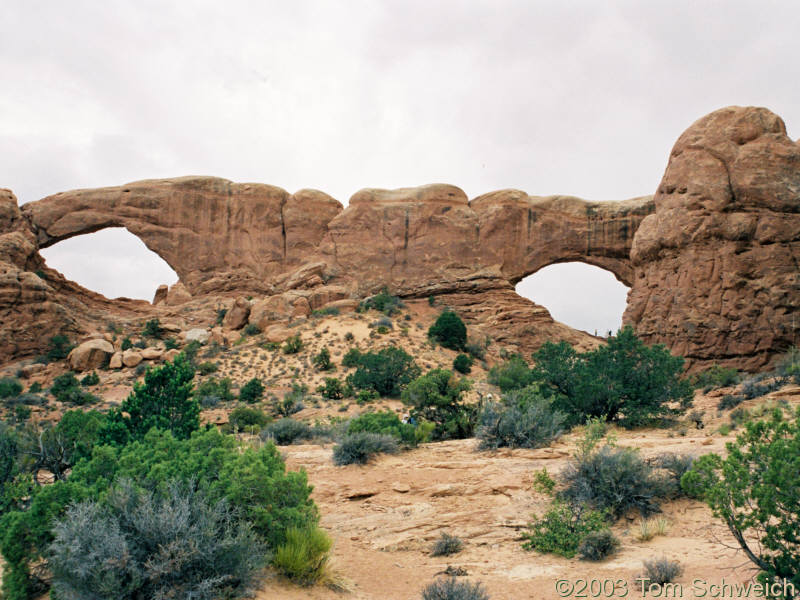 Arches at the Windows.