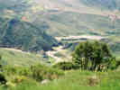 Full Size Image