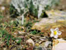 Full Size Image