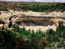 Full Size Image