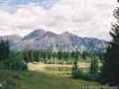 Full Size Image