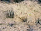 Full Size Image