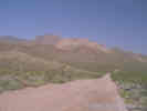 Full Size Image