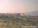 Full Size Image