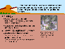 Full Size Image