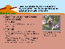 Full Size Image