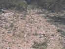 Full Size Image