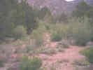 Full Size Image