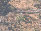 Full Size Image