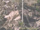 Full Size Image