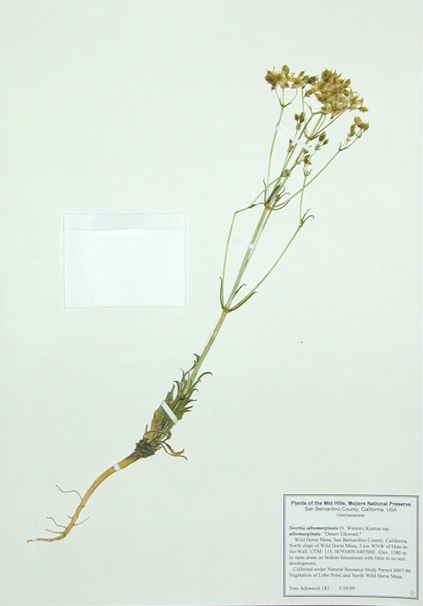 Collection No. 183, Wild Horse Mesa.