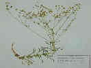 Full Size Image