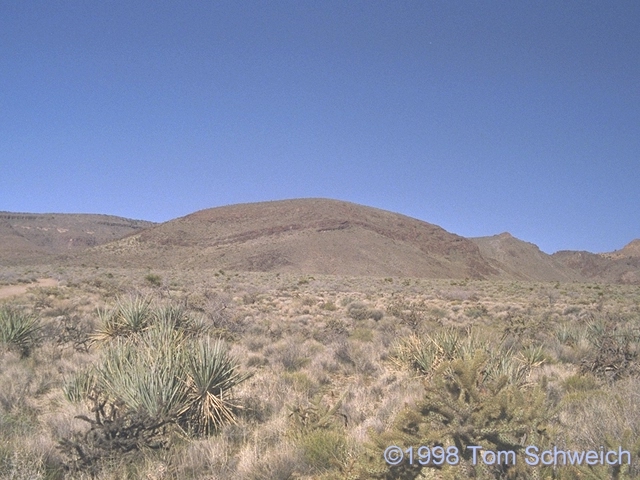 Miocene rhyolitic dome in lower Wild Horse Canyon.